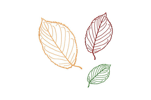 Beech Tree Leaves: A Versatile Design for Small Business