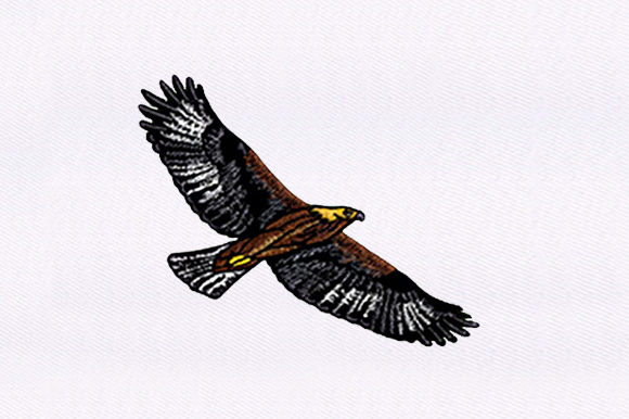 Brown Eagle: A Versatile Design for Business Branding