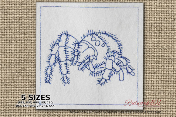 Close Up Jumping Spiders Redwork Review